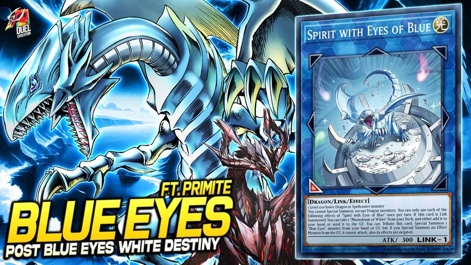 Blue-eyes x Primite - check choke point Blue-eyes deck